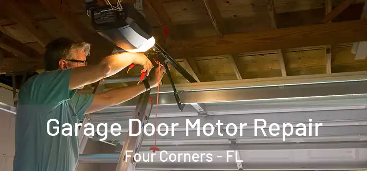  Garage Door Motor Repair Four Corners - FL