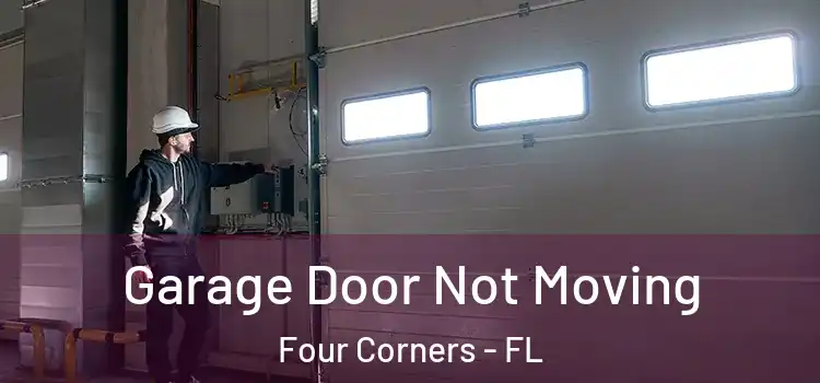  Garage Door Not Moving Four Corners - FL