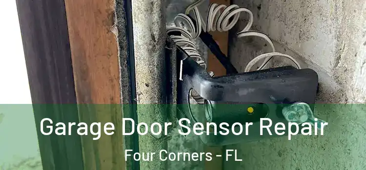 Garage Door Sensor Repair Four Corners - FL