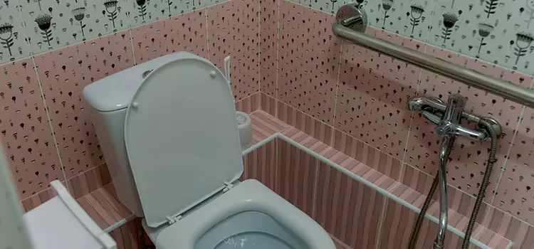 Meeting Diverse Needs With Accessible Restroom Solutions in Four Corners, FL