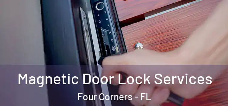  Magnetic Door Lock Services Four Corners - FL